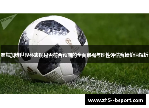 聚焦加维世界杯表现是否符合预期的全面审视与理性评估赛场价值解析